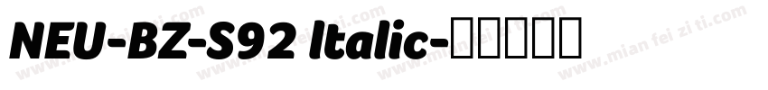 NEU-BZ-S92 ltalic字体转换